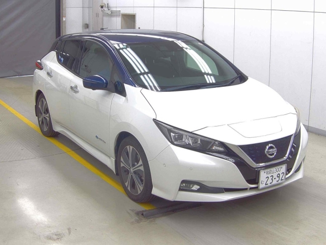NISSAN LEAF — фото