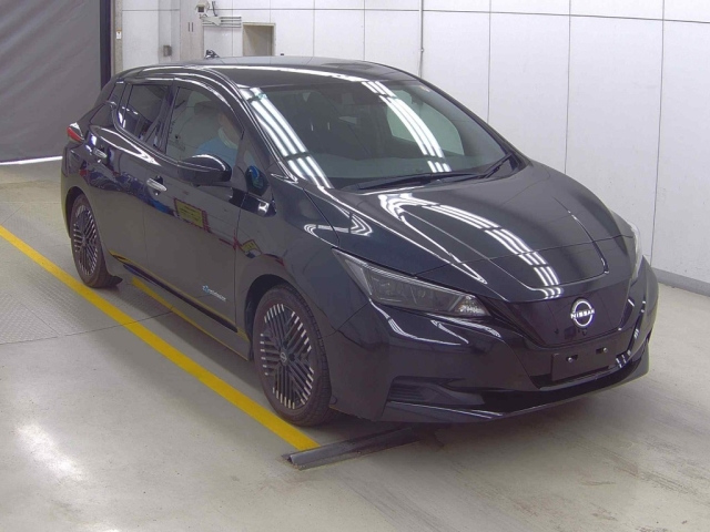 NISSAN LEAF — фото