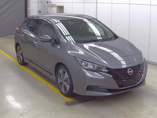 NISSAN LEAF — фото