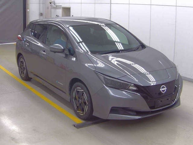 NISSAN LEAF — фото