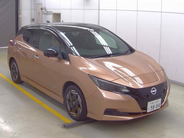 NISSAN LEAF — фото