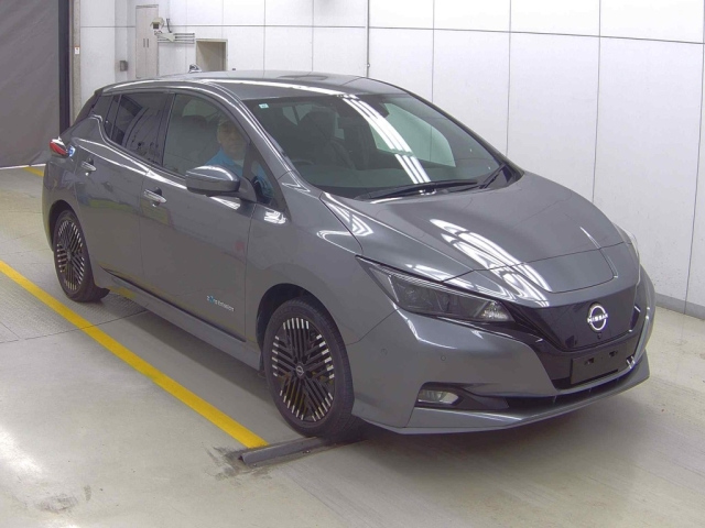 NISSAN LEAF — фото