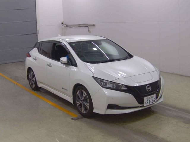 NISSAN LEAF — фото