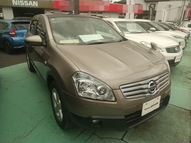 NISSAN DUALIS — фото