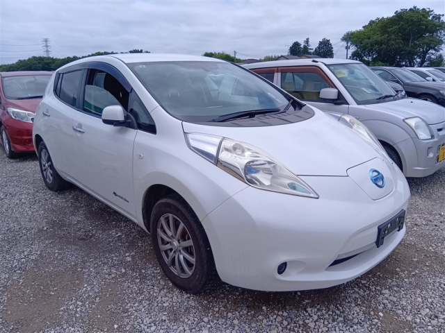 NISSAN LEAF — фото