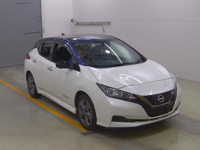 NISSAN LEAF — фото