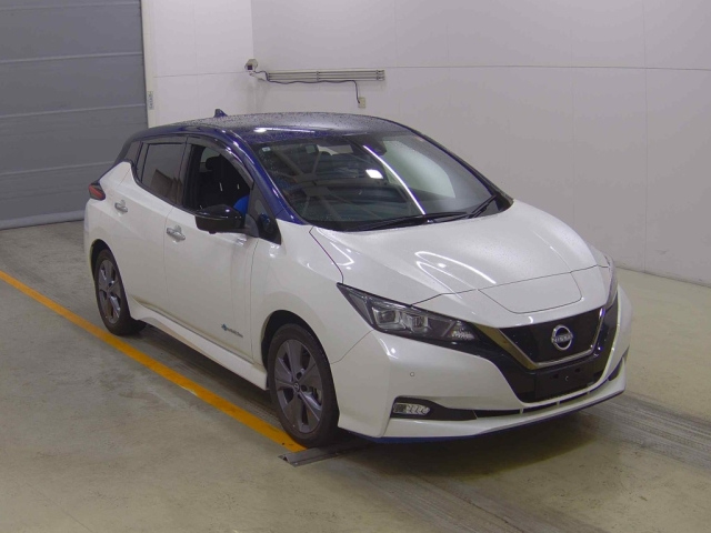 NISSAN LEAF — фото