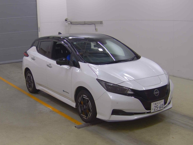 NISSAN LEAF — фото