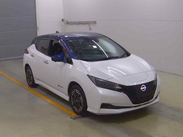 NISSAN LEAF — фото