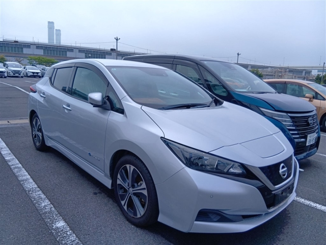 NISSAN LEAF — фото
