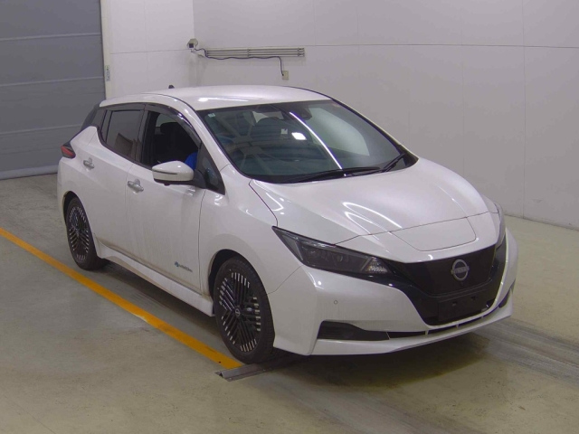 NISSAN LEAF — фото
