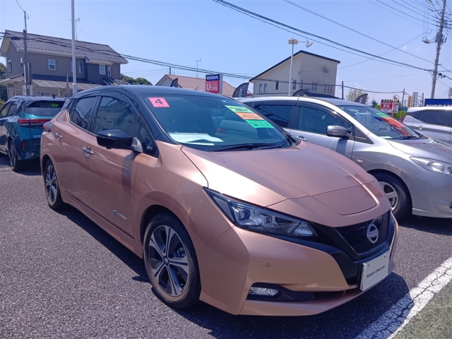 NISSAN LEAF — фото