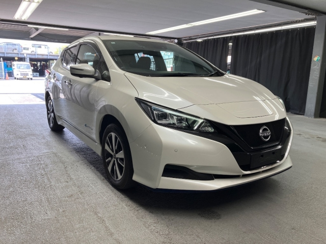 NISSAN LEAF — фото