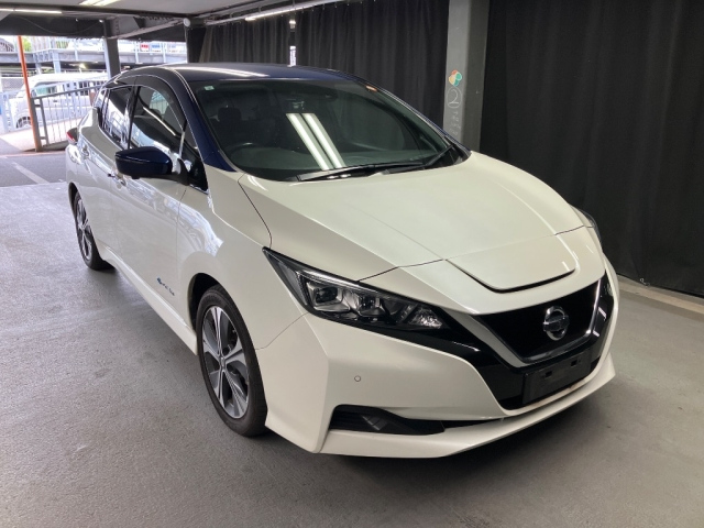 NISSAN LEAF — фото