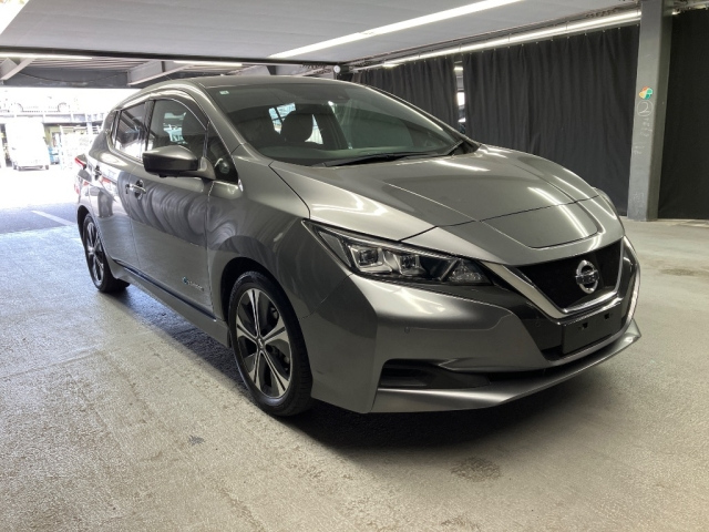 NISSAN LEAF — фото