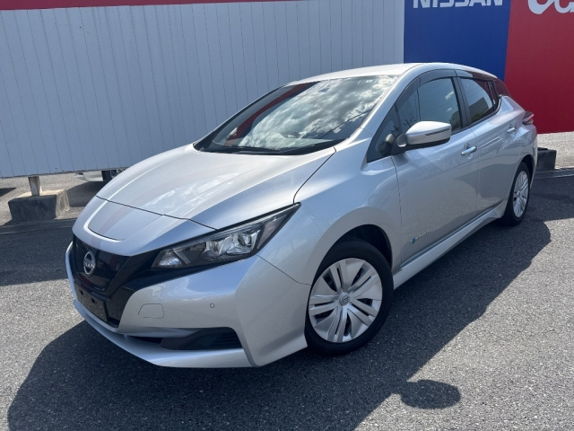 NISSAN LEAF — фото