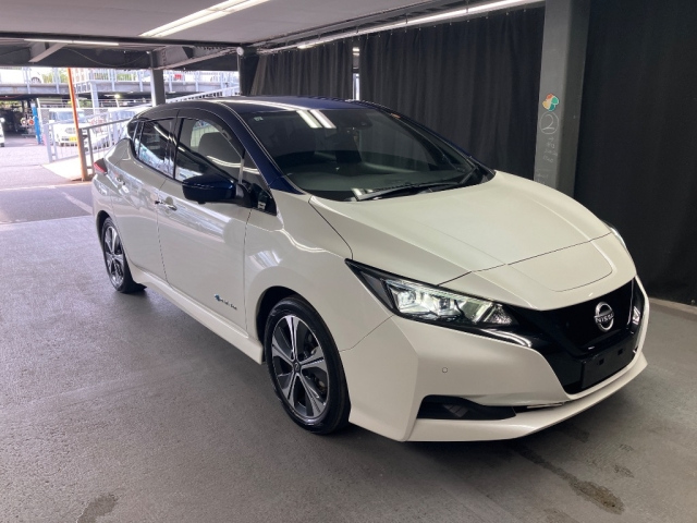 NISSAN LEAF — фото
