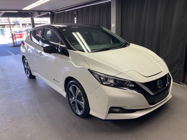 NISSAN LEAF — фото
