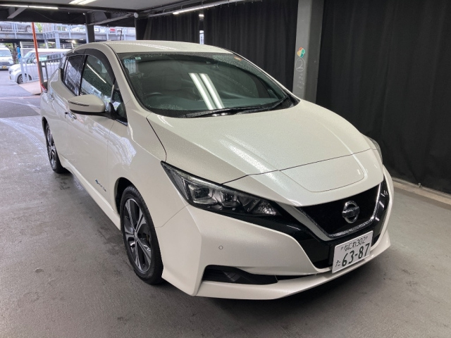 NISSAN LEAF — фото
