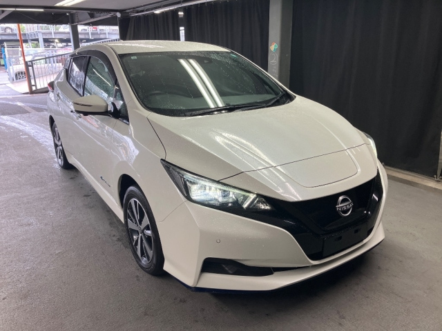 NISSAN LEAF — фото