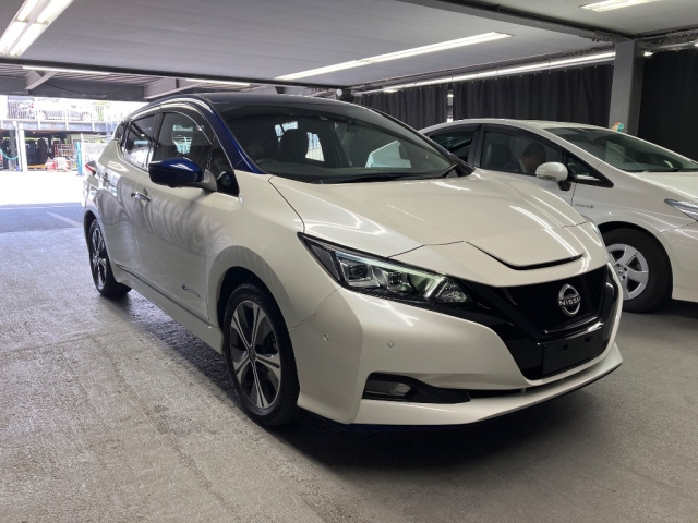 NISSAN LEAF — фото
