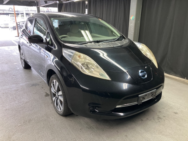NISSAN LEAF — фото