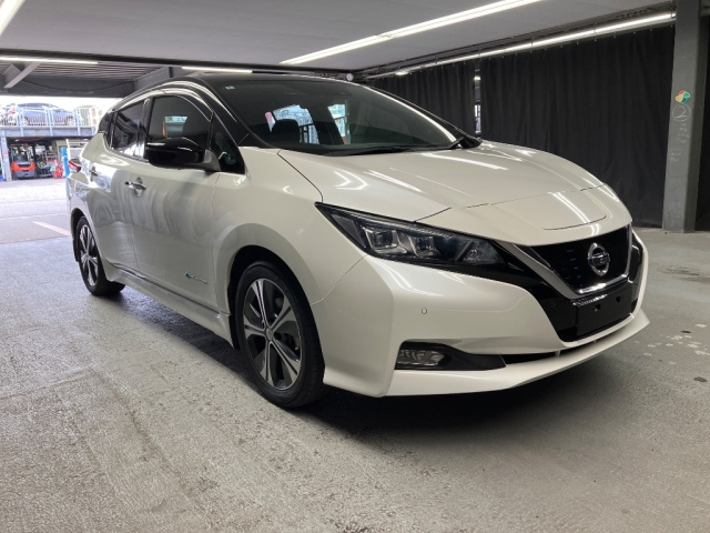 NISSAN LEAF — фото
