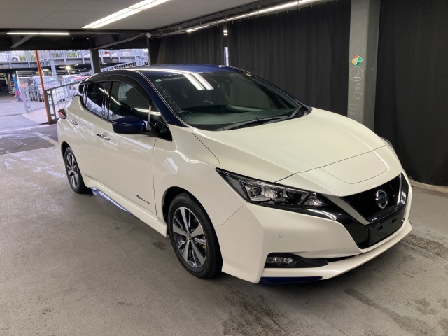 NISSAN LEAF — фото