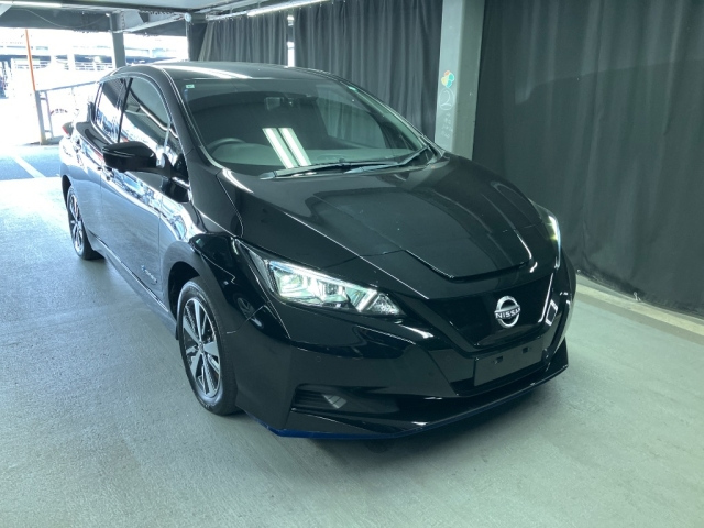 NISSAN LEAF — фото
