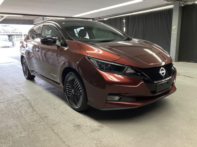 NISSAN LEAF — фото