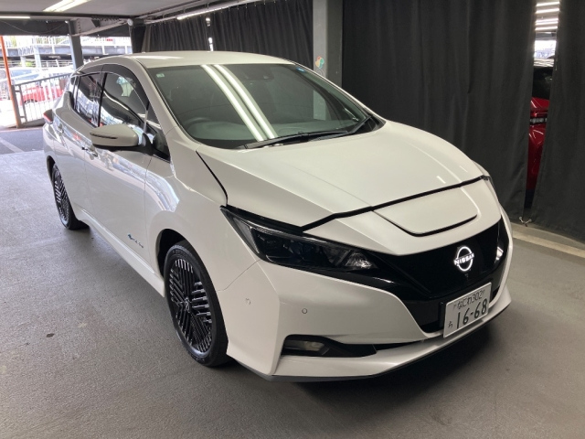 NISSAN LEAF — фото