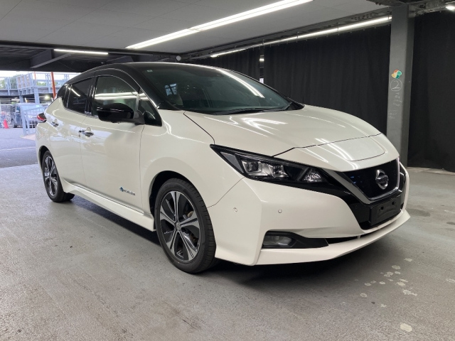 NISSAN LEAF — фото