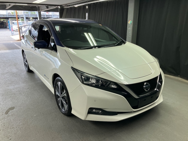 NISSAN LEAF — фото