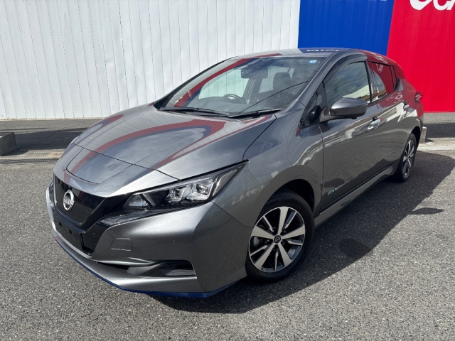 NISSAN LEAF — фото