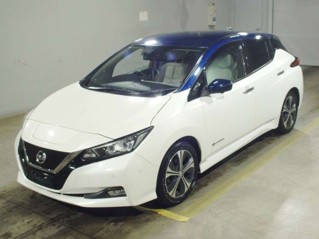NISSAN LEAF — фото