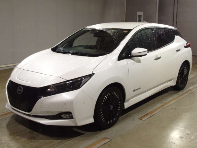 NISSAN LEAF — фото