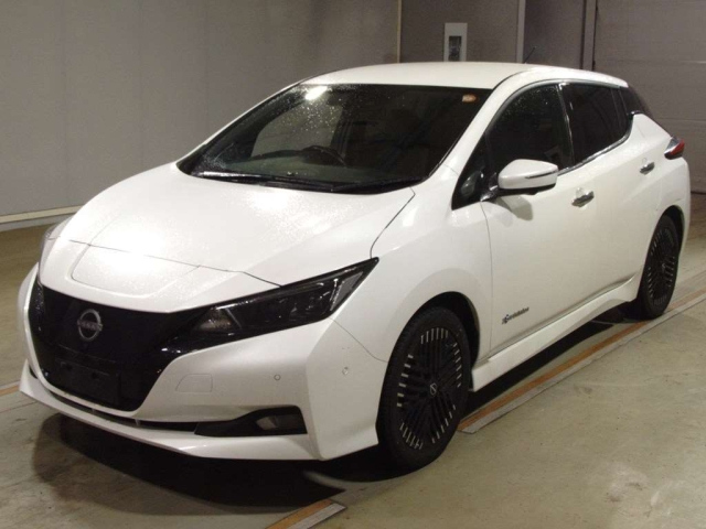 NISSAN LEAF — фото
