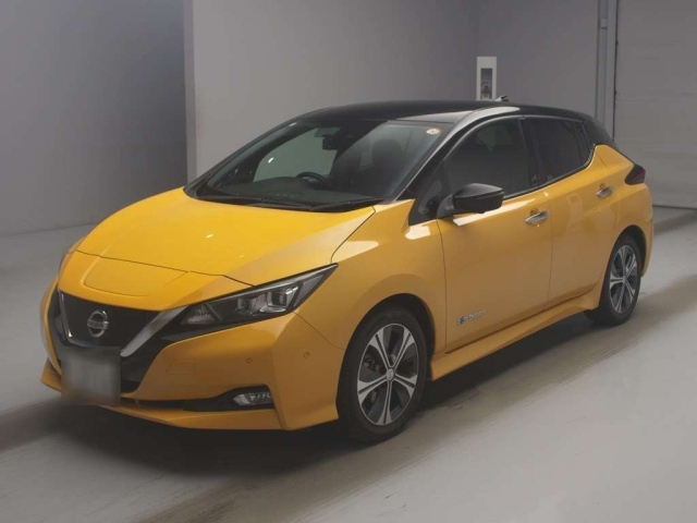 NISSAN LEAF — фото