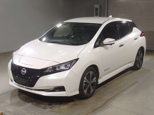 NISSAN LEAF — фото