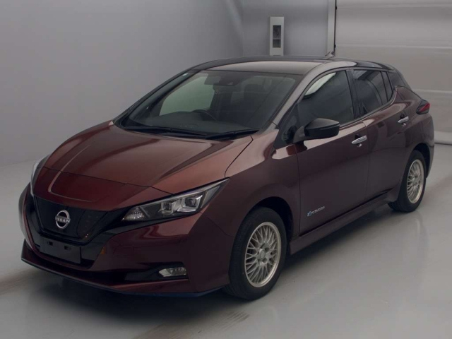 NISSAN LEAF — фото