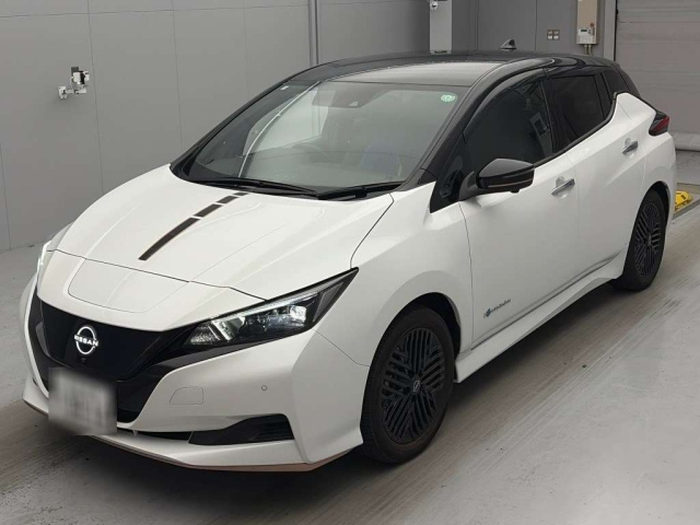 NISSAN LEAF — фото