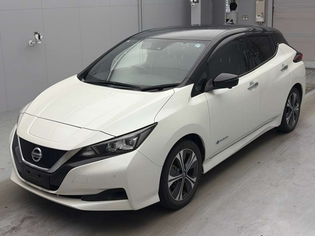 NISSAN LEAF — фото