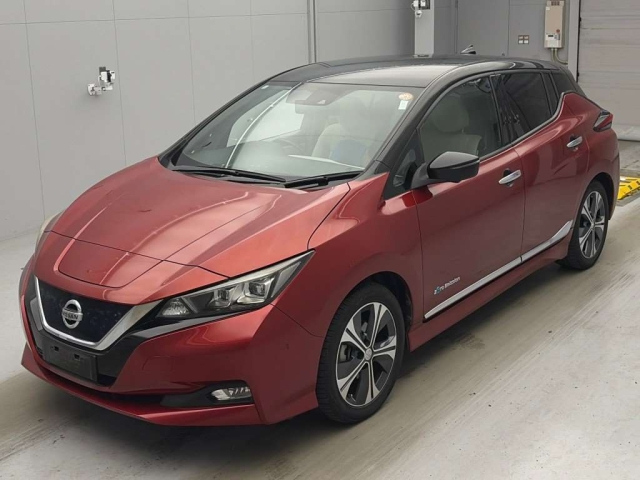 NISSAN LEAF — фото
