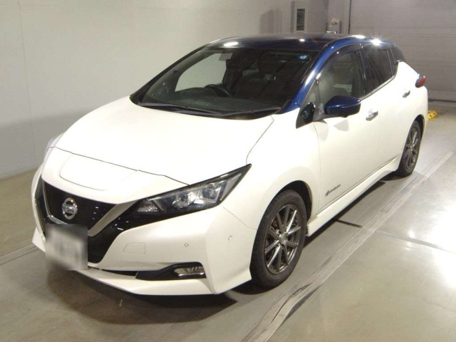 NISSAN LEAF — фото