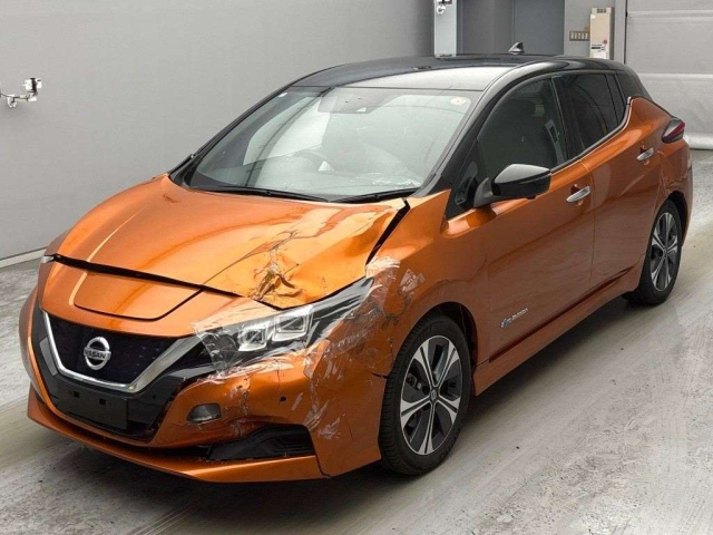 NISSAN LEAF — фото