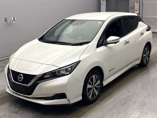 NISSAN LEAF — фото